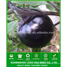 JE07 highest-ranking black round eggplant seeds, hybrid eggplant seeds